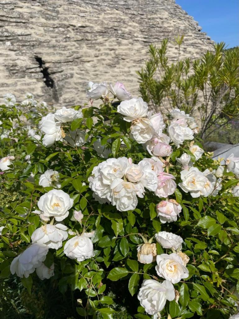 La Borie En Provence Bed & Breakfast Горд Екстериор снимка