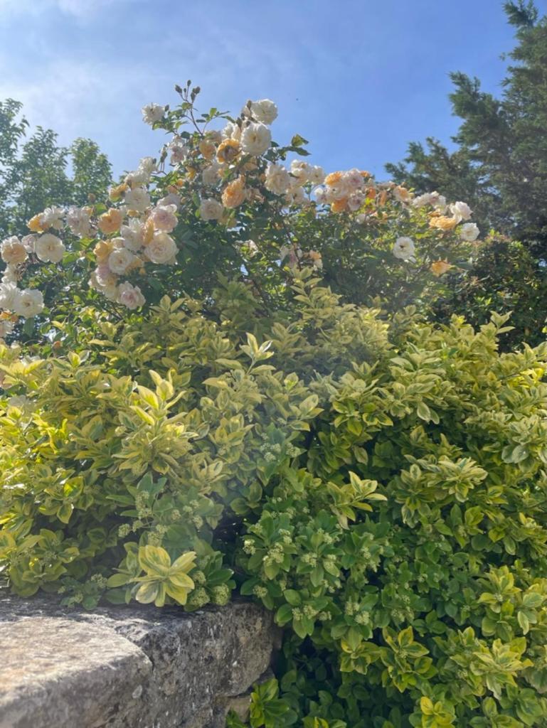 La Borie En Provence Bed & Breakfast Горд Екстериор снимка