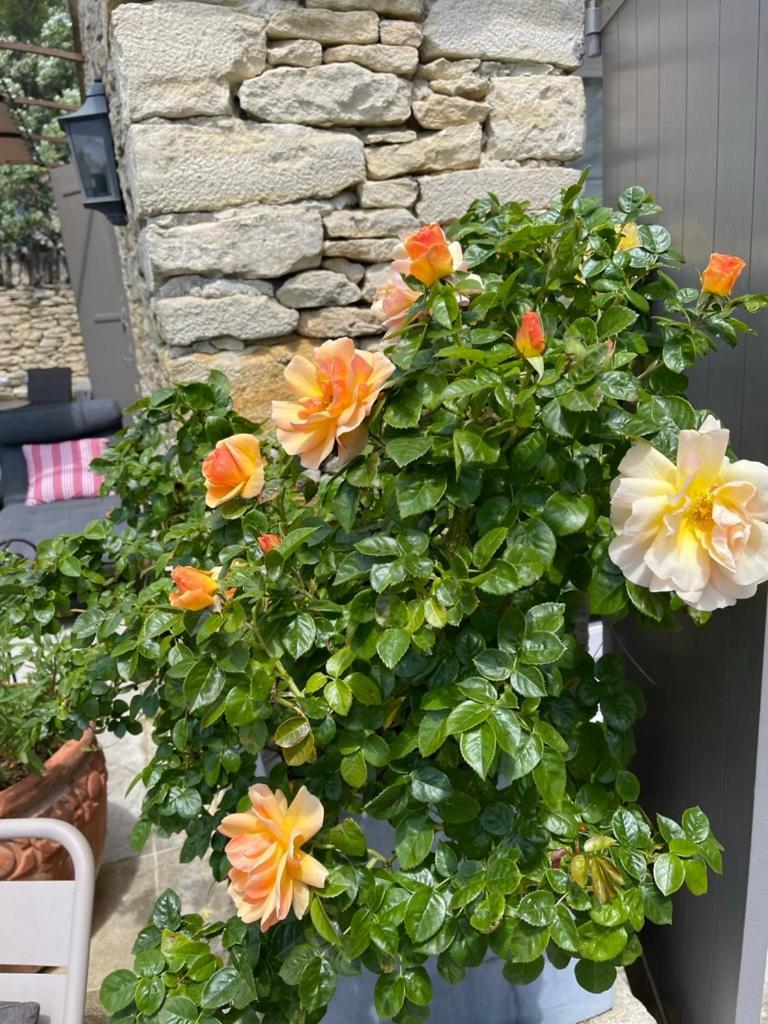 La Borie En Provence Bed & Breakfast Горд Екстериор снимка