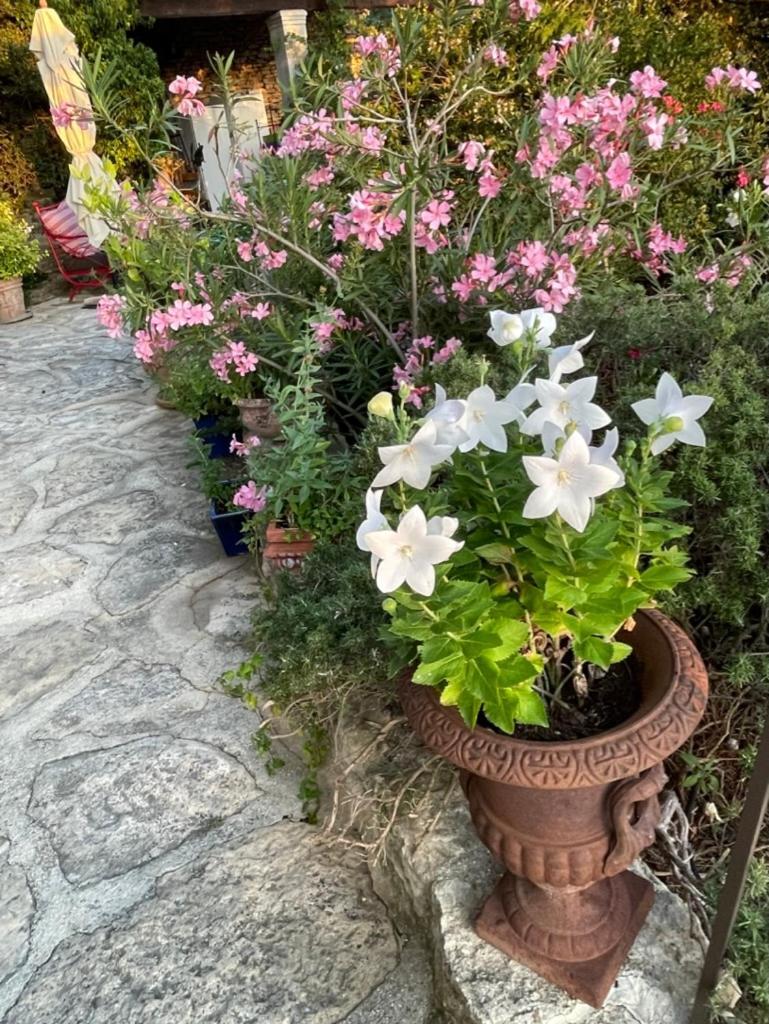 La Borie En Provence Bed & Breakfast Горд Екстериор снимка